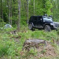 HamiltonSafari