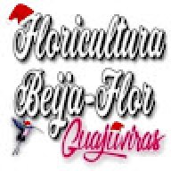Giovanne_bcc1de