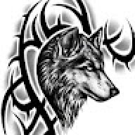 Coyote_09e9fd