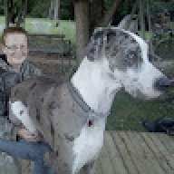 Katelyn_902413