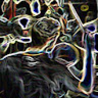 Madison_2e5a8d