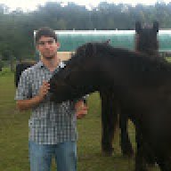 Sandro_4aa4c0