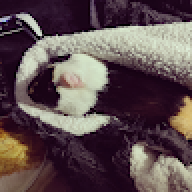 KozmOnaut