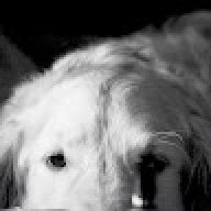 Jeff_622a54