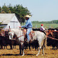 Thehashtagcowboy_28180a