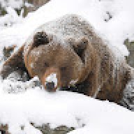 Jacob_f7069a