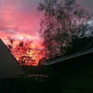 Danielle_a48253