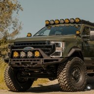 RaelIto5