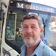 gerson_4934c8