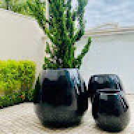 Infiniti_170e8d