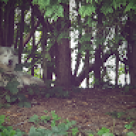 Jason_0a6fcb