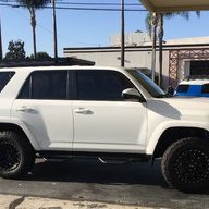 Rb8502
