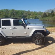 SilverBack12