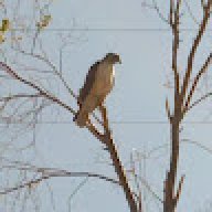 Tom_9b0047