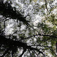 Demos_662a81