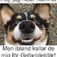 Magnus_7f7509