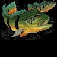 PESCA_6aab75