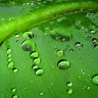 Jose Isabel_bfe475