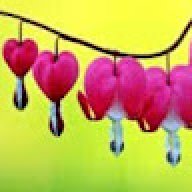 pieter_ebd5dc