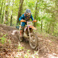 Sheldon_90035f