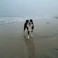 Aero.theAussie