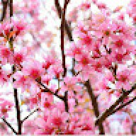 Elizabeth_85e370
