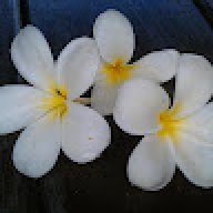 Sophie_95a733