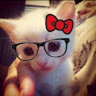 randall_5f595f