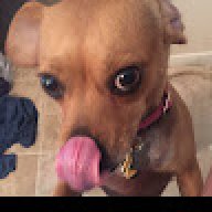 Jepeps_c64ef9