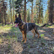 jeff_88719c
