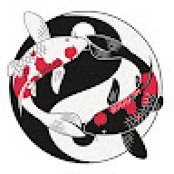 CoyBoy_YT_385d78