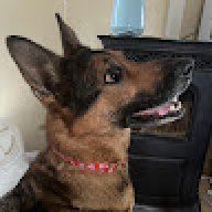 Kylie_778154
