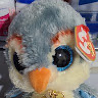 Timothy_aa3885