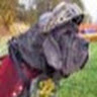 OldPUP_1fd945