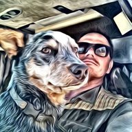 Sodog