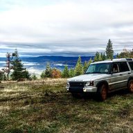 OEFVet90