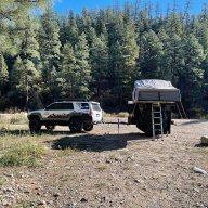 5280WanderingBison