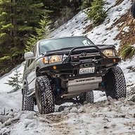Road Bull