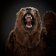 FuzzyBears