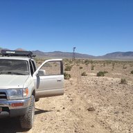 Desert Mule