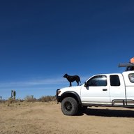 Adventureswithdog