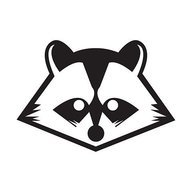 Rakoon