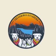 The Canine Explorers
