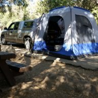 campbeetles