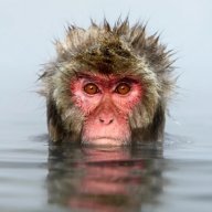Boardmunky