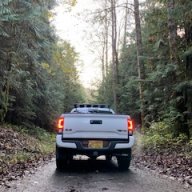 stevep488