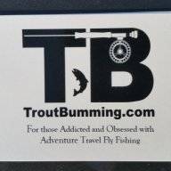Trout Bumming