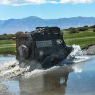 Celtic Rover
