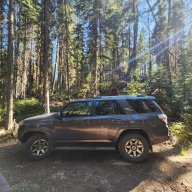 KOA