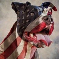 AnonymousDog